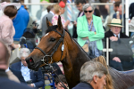 240824-Race 3-Breege-1477