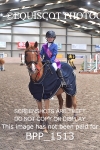CLASS 4 Springboard 128cm/ 138cm Restricted Handicap portfolio