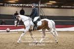 BPP_8656