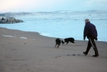 The Walk