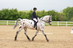 SBM_005891