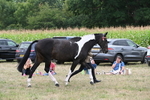 WJ6_5657