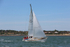 130601 OPTION GBR3552T WT7A9224_Edit