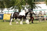 SBM_08772