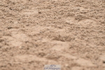 240720A-113844-14534