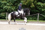 320-Louise_Pearce-Wellshead_Duke portfolio