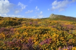 Haytor in the Summertime