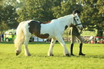 SBM_57289