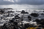 Rugged Coast of St John's Point, County Down.