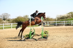 SBM_000641