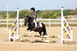 SBM_006916