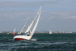 150627 QUEEN BEE WT7A1504_S