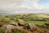 5859 Corndon Hill, view over Stapeley Hill