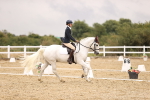 SBM_004584