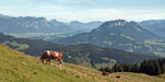 Mittermooser Joch 5
