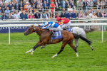 180523-Race 4-The Foxes-7382