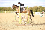 SBM_003731