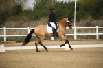 SBM_001211