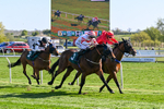 220426-Race 6-Aberama Gold-0772