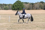 WJ6_8814
