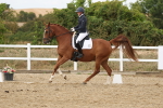 SBM_012012