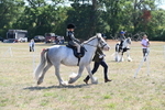 WJ6_7818