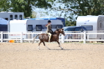 SBM_13336