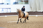SBM_000611