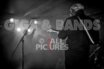 The Wilko Johnson Band-101