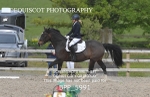 BPP_5991