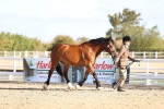 SBM_08414