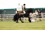 SBM_07124