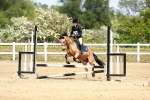 SBM_007851