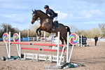 Cls 5 Foxhunter and 1.20m portfolio
