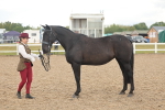 SBM_07875