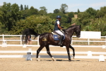 SBM_002819