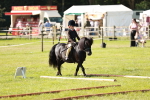 SBM_12589