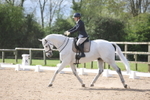 Unaffiliated Dressage portfolio