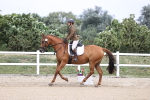 SBM_017407