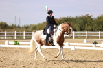 SBM_015463