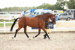 SBM_08535