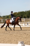 SBM_003822