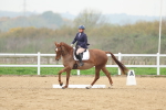 SBM_006277