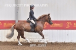 BPP_0599
