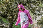 Dovedale Dash-2112