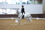 SBM_001916