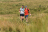 Ingleborough-1206