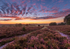 October - Longslade Heath Sunrise