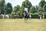 WJ6_6833