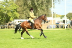 SBM_42960